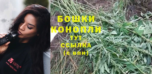 эйфоретик Горнозаводск
