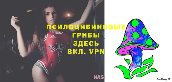 эйфоретик Горнозаводск