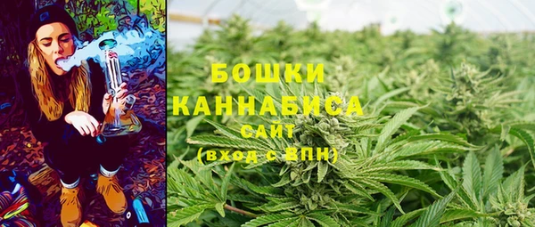 эйфоретик Горнозаводск