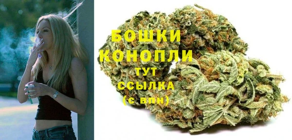 эйфоретик Горнозаводск