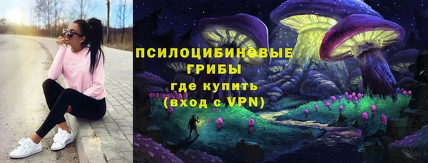 эйфоретик Горнозаводск